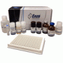 ELISA Kit